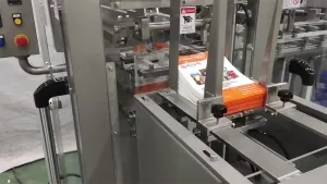 Envasadora Lineal para Bolsas Preformadas